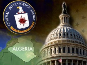 cia_senate_algeria_090129_mn