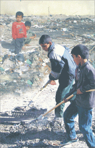 kids-working-algeria